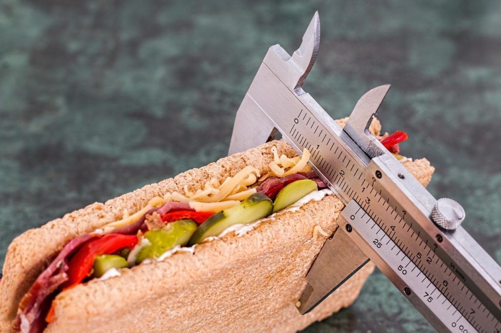 Sandwich_diet-695723_1280